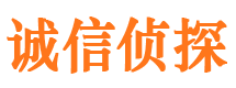 共和市调查公司